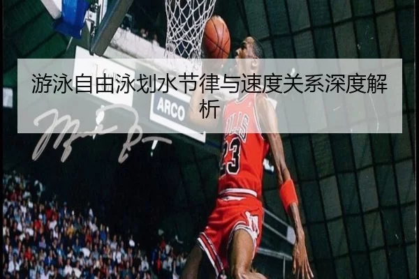 游泳自由泳划水节律与速度关系深度解析