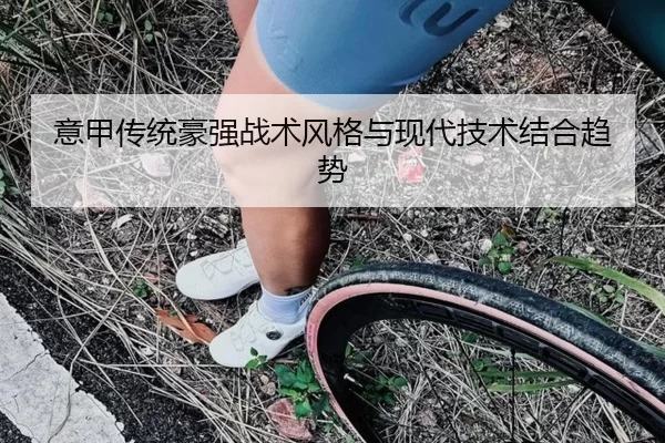 意甲传统豪强战术风格与现代技术结合趋势